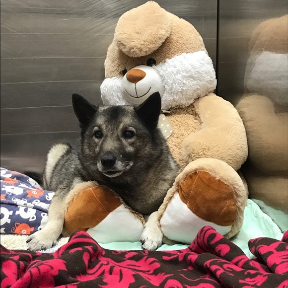 Meet your Posher, Janet - Picture 3 of 10